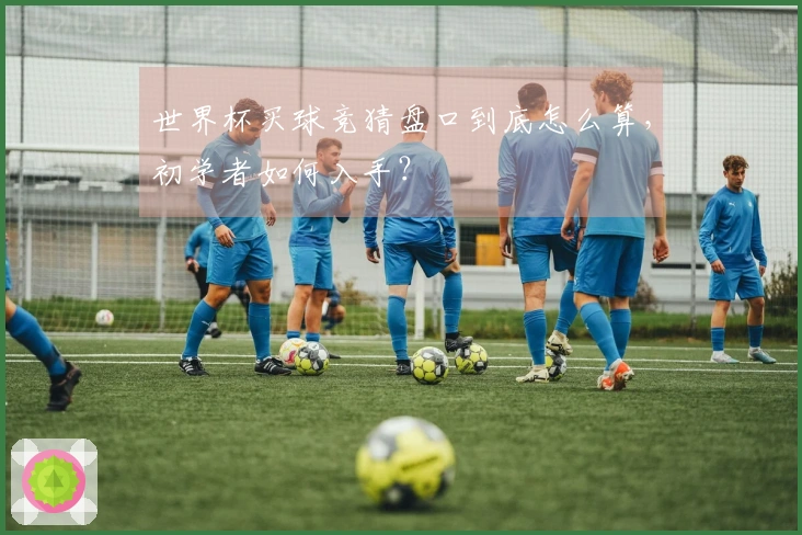 世界杯买球竞猜盘口到底怎么算，初学者如何入手？