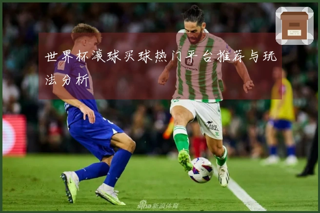 世界杯滚球买球热门平台推荐与玩法分析