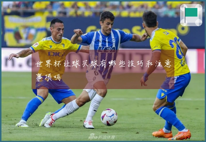 世界杯让球买球有哪些技巧和注意事项吗