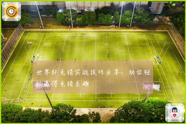 世界杯竞猜实战技巧分享，助你轻松赢得竞猜乐趣