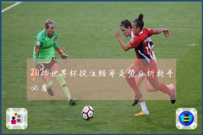 2026世界杯投注赔率走势分析新手必看
