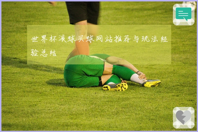 世界杯滚球买球网站推荐与玩法经验总结
