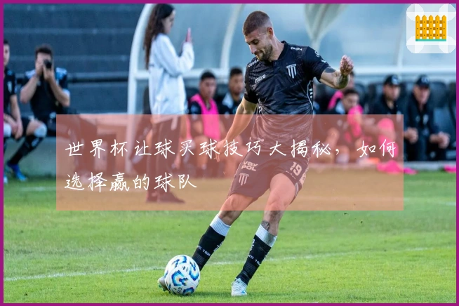 世界杯让球买球技巧大揭秘，如何选择赢的球队