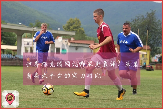 世界杯竞猜网站哪家更靠谱？来看看各大平台的实力对比