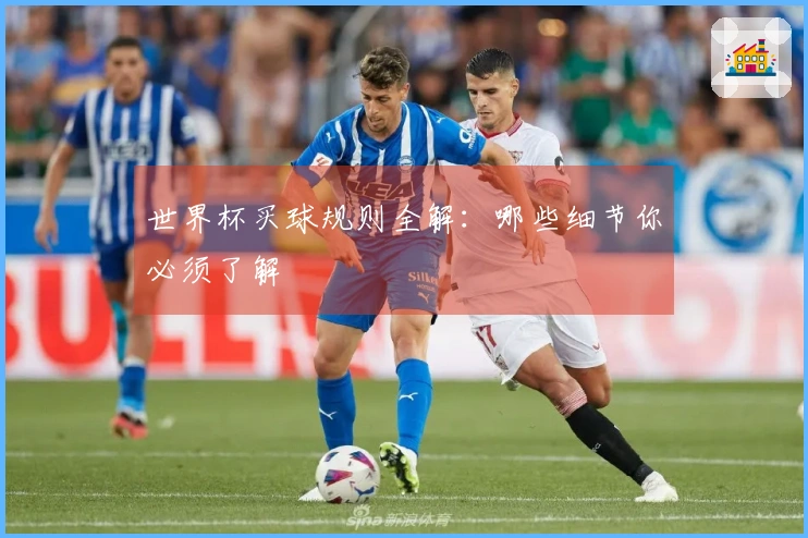 世界杯买球规则全解：哪些细节你必须了解
